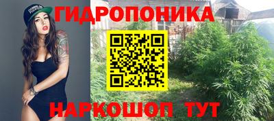 ECSTASY Кингисепп