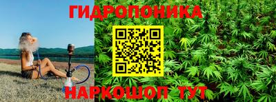 стаф Кинель