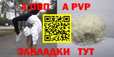 стаф Кинель