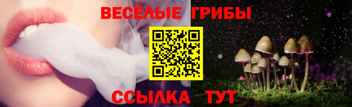 Псилоцибиновые грибы мицелий Тихорецк